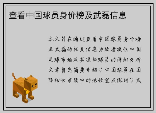 查看中国球员身价榜及武磊信息